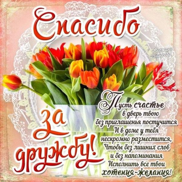 поздравления и открытки