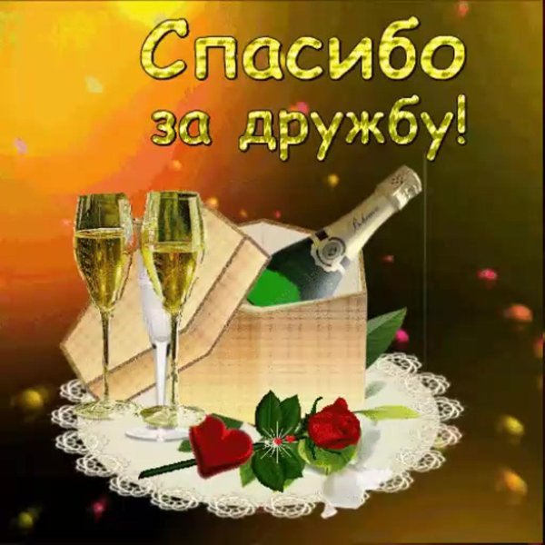 благодарю за дружбу