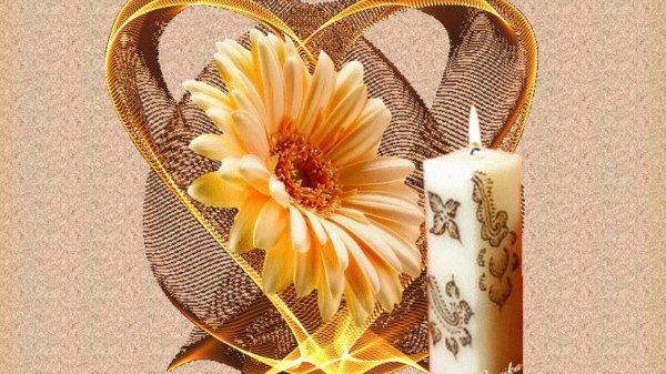 фон золотистый цветок