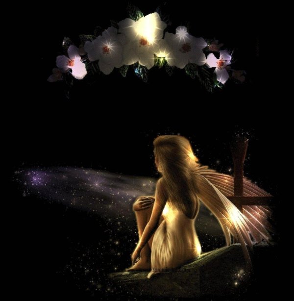 феи красивые