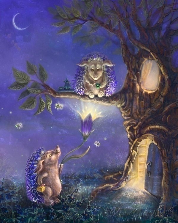 волшебные иллюстрации