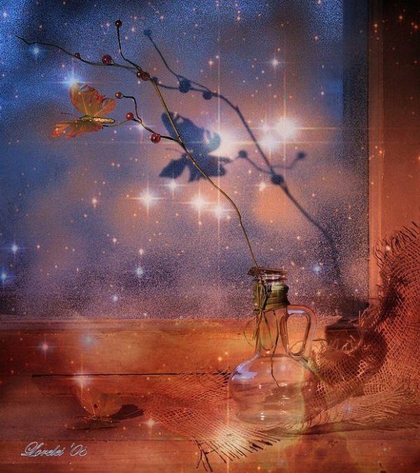 елена рубинская фотограф