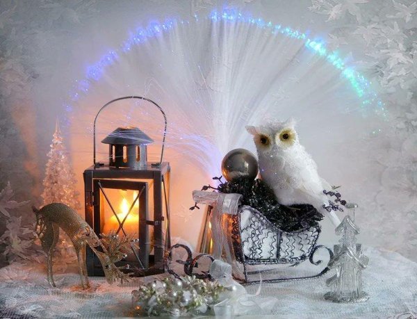 новогодние совы