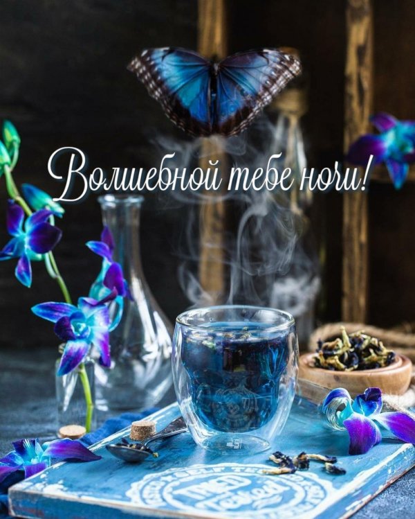 анимированная открытка спокойной ночи