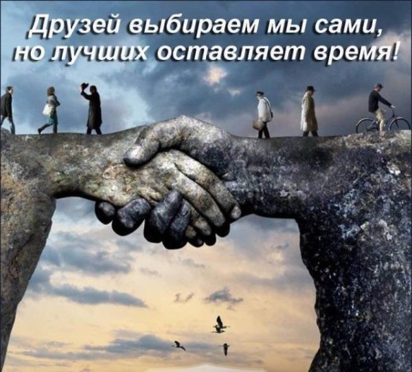 берегите дружбу