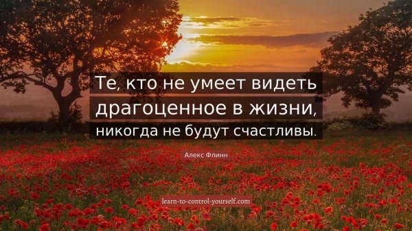 цитата жизни