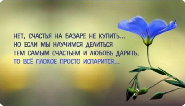 счастье стих