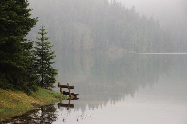 туманное озеро