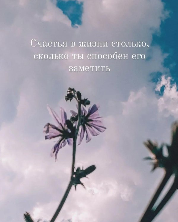 счастье жизни