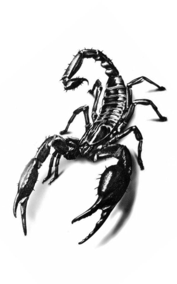 татуировка скорпион
