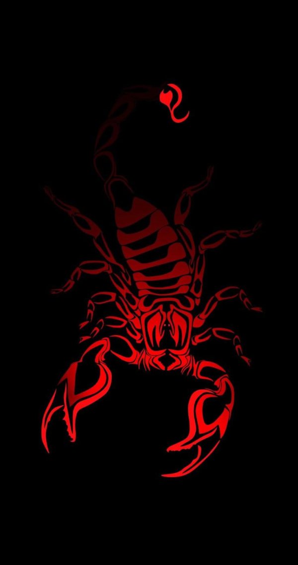 наклейка скорпион