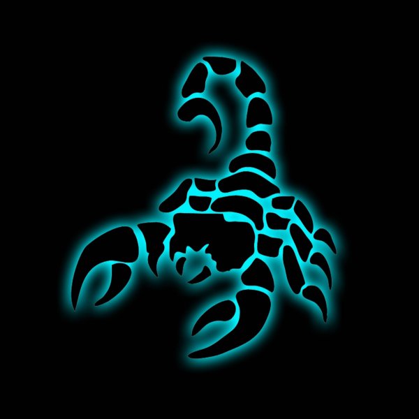 скорпион трафарет