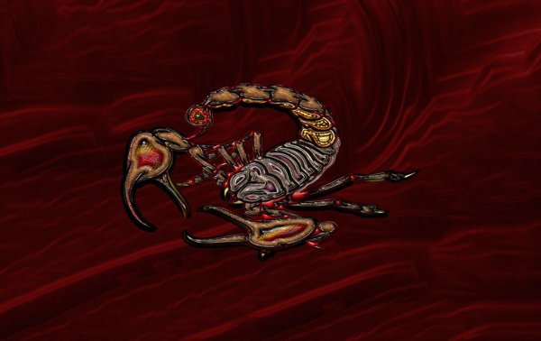 скорпион рисунки