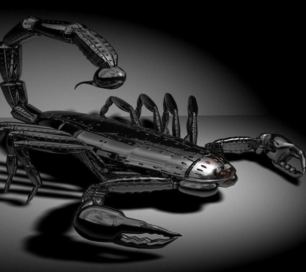 темный скорпион