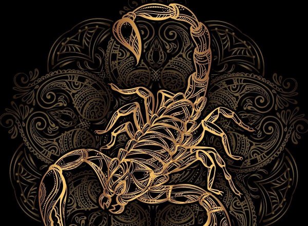 золотой скорпион