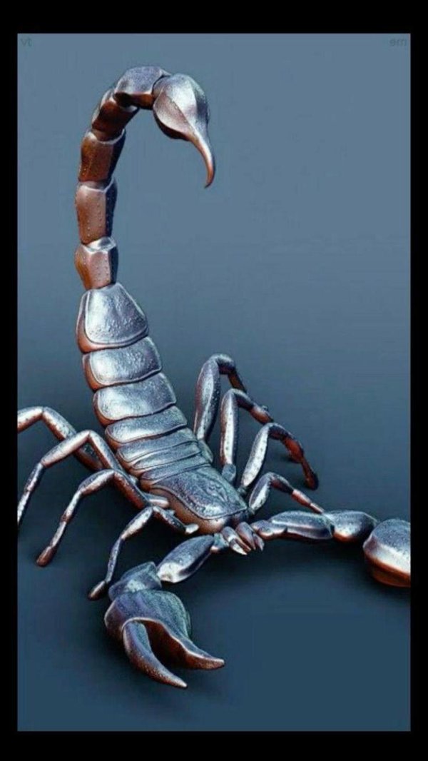 скорпион рисунки