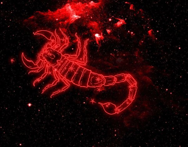 зодиакальное созвездие скорпион