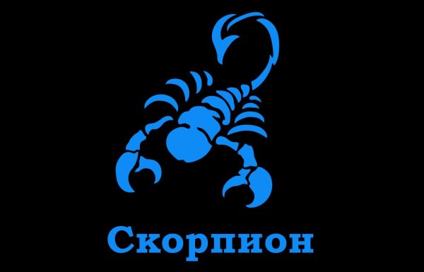 значок скорпион