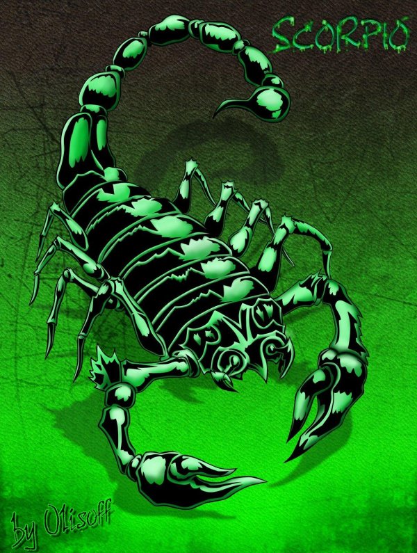 зеленый скорпион