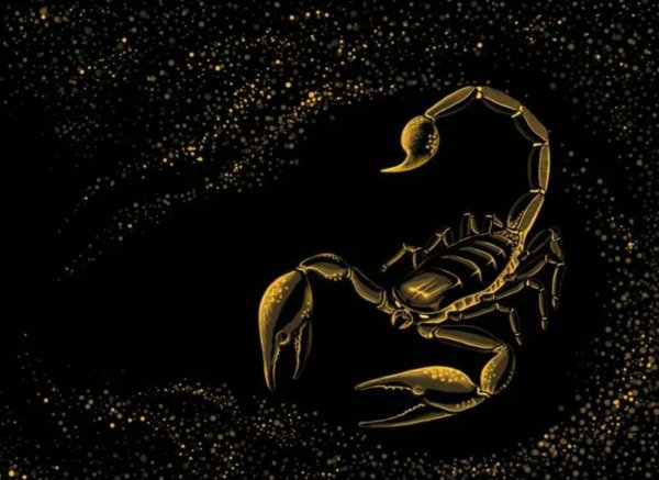 скорпион зодиак