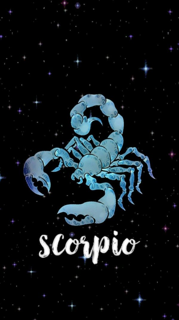 для скорпиона