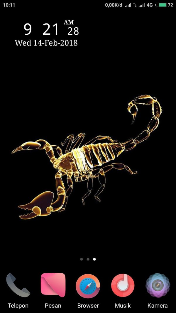 красивый скорпион