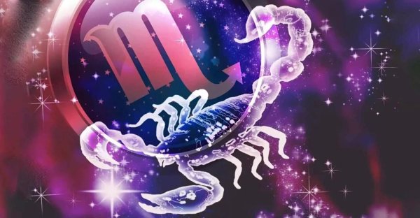 для скорпиона