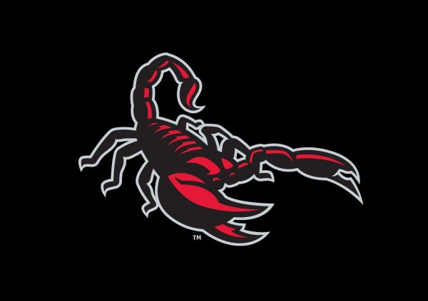 наклейка скорпион