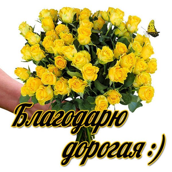 спасибо дорогая