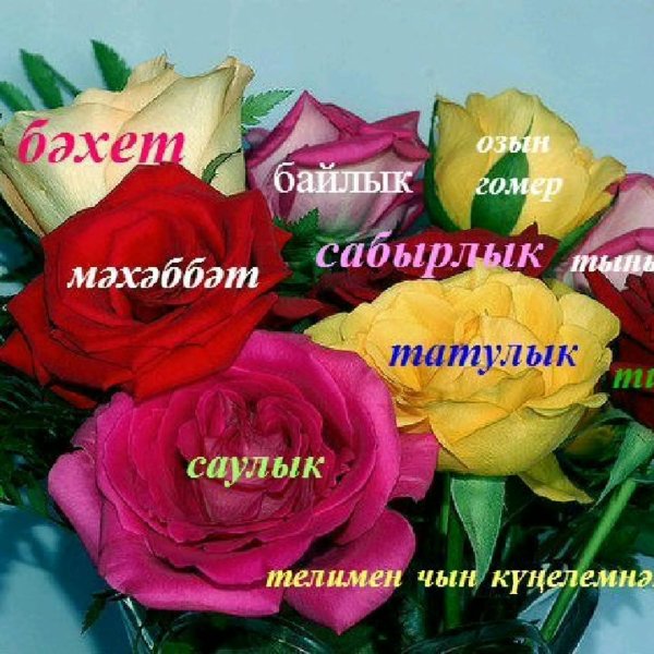 туган кон белэн