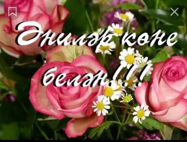 әниләр көне белән котлау сүзләре