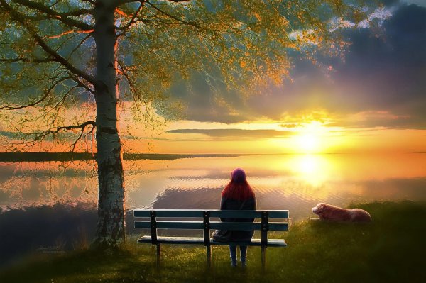 одинокий закат