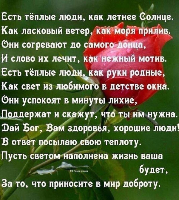 есть тёплые люди стихи
