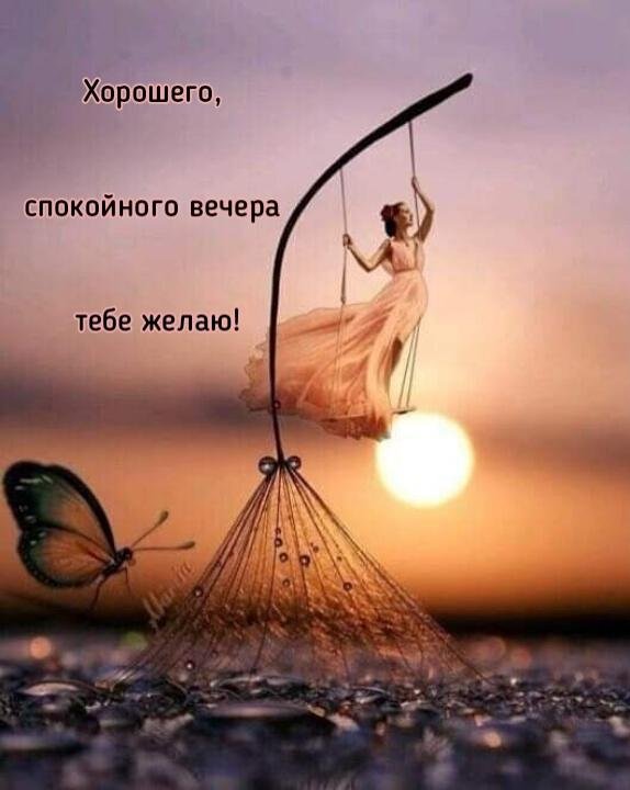 спокойная ночи