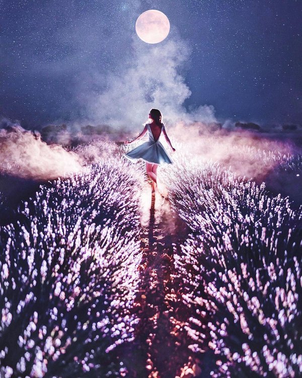 кристина макеева лавандовые поля