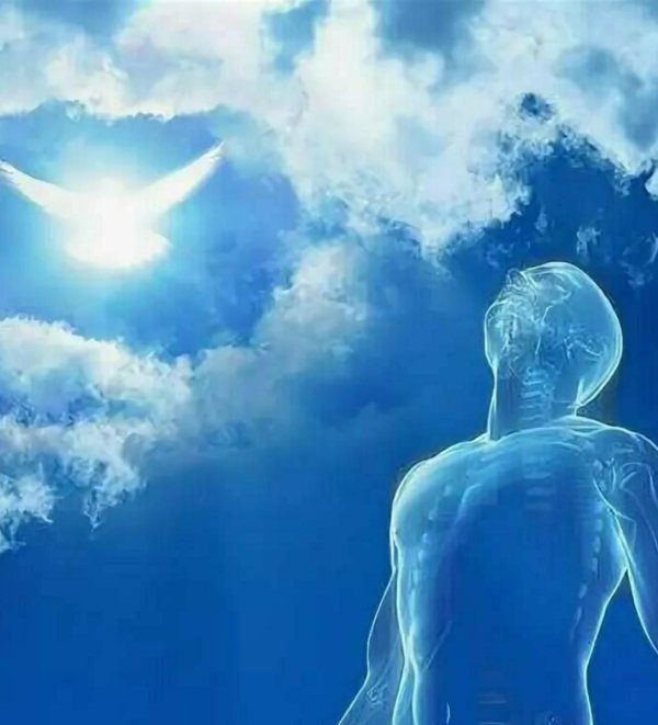 перерождение души