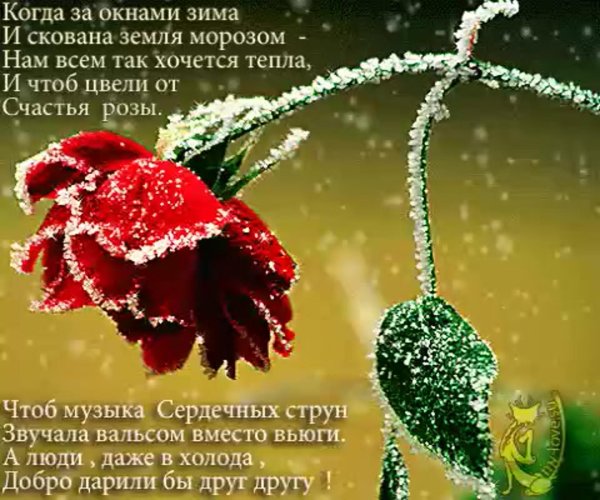 так хочется тепла