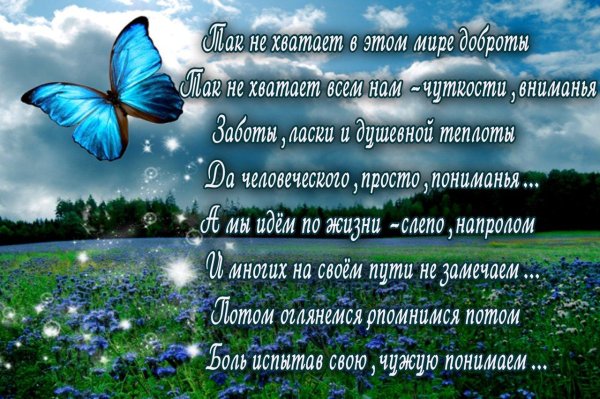 стихи о мире