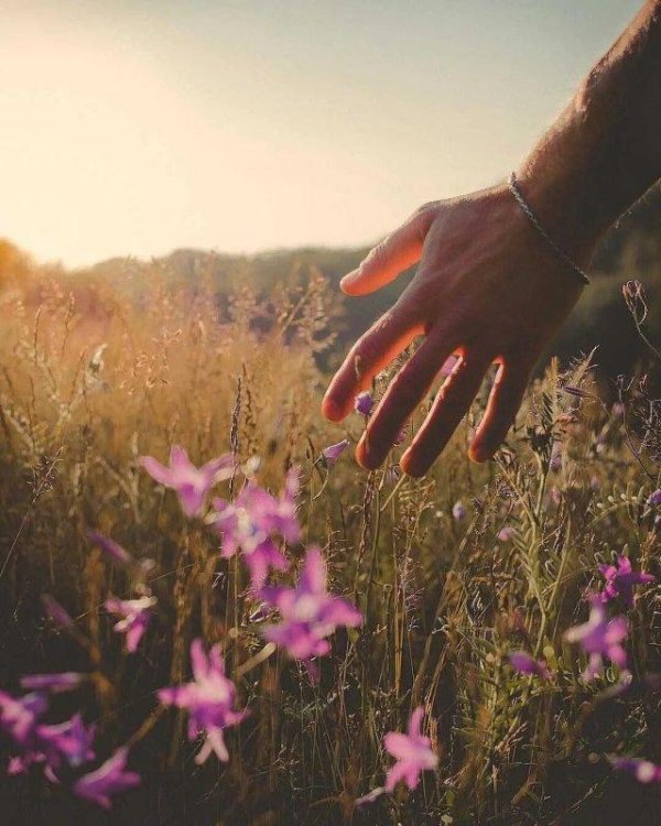 летние закаты