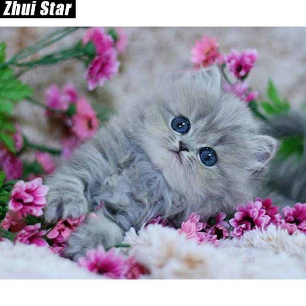 милые котенок