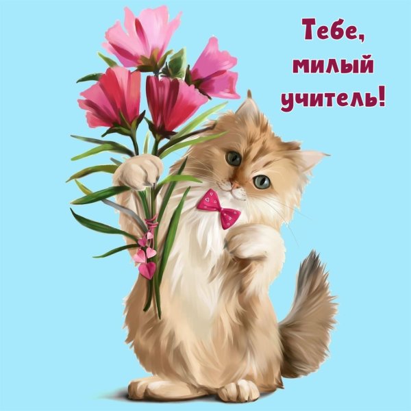 открытка красивая