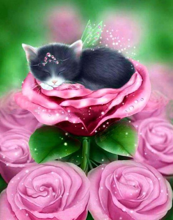 котенок в цветах