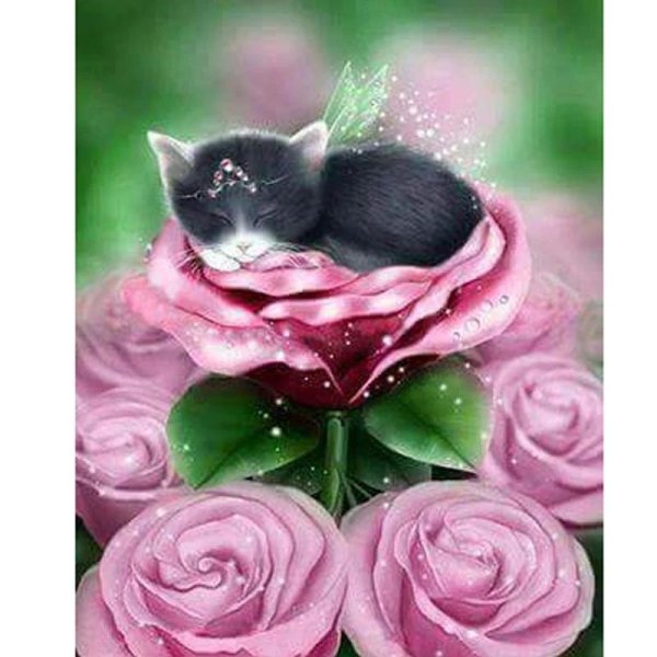 котенок в цветах