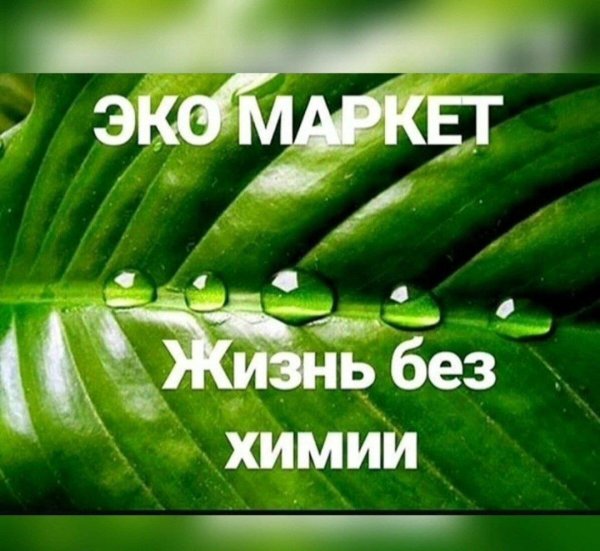 жизнь без химии