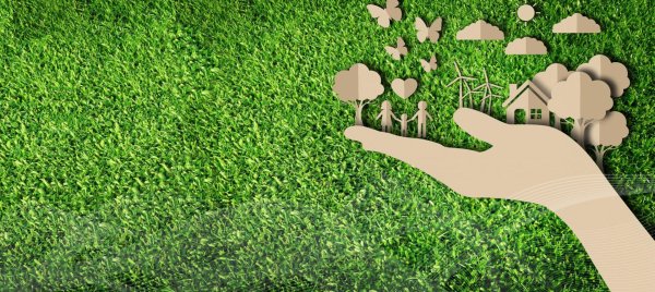 экологическое благополучие