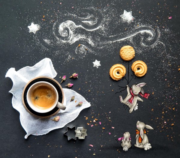 художницаиллюстратор cinzia bolognesi