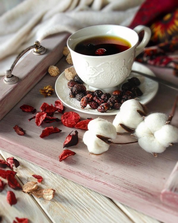 шиповник сушеный