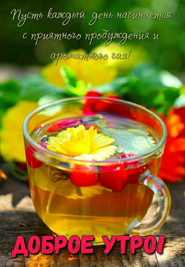 добра утра