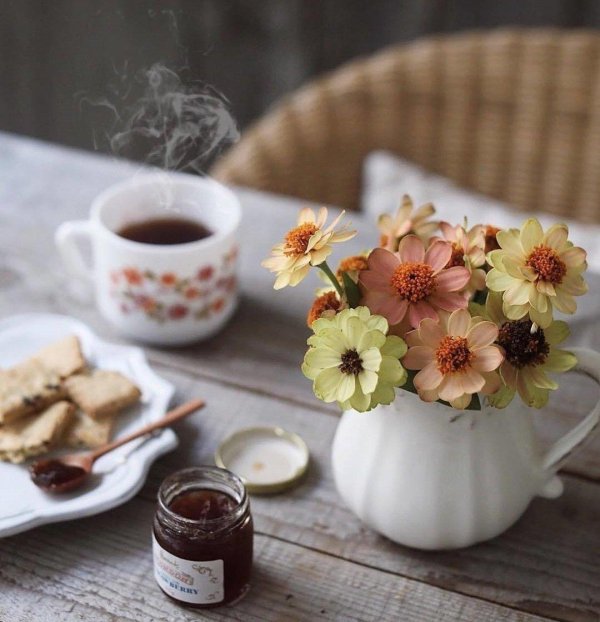 цветы утренние