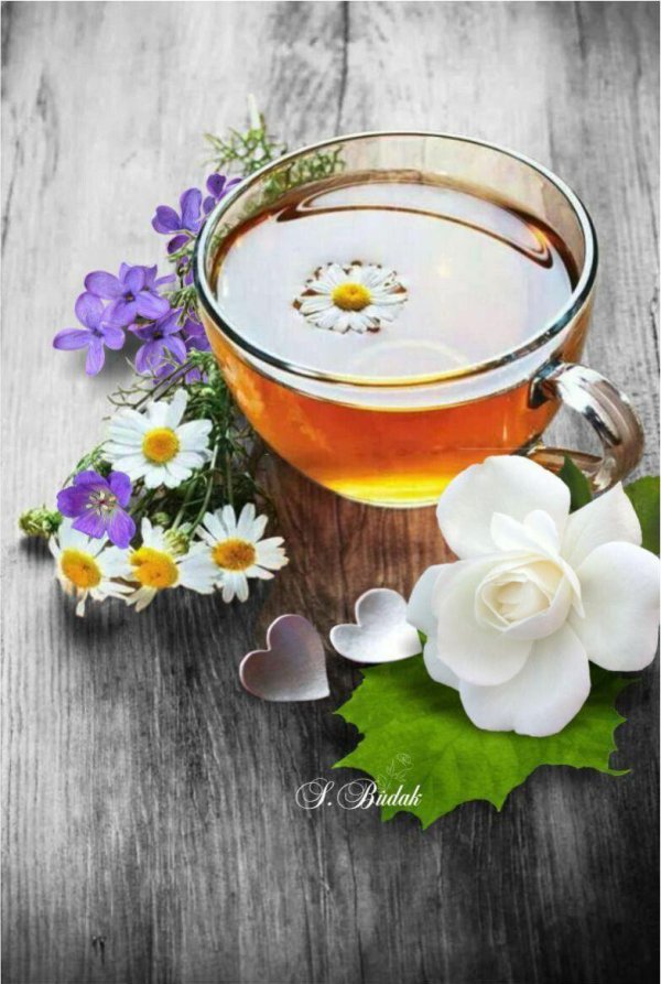 ромашковый чай